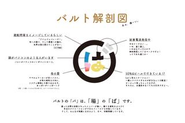 バルト解剖図！！