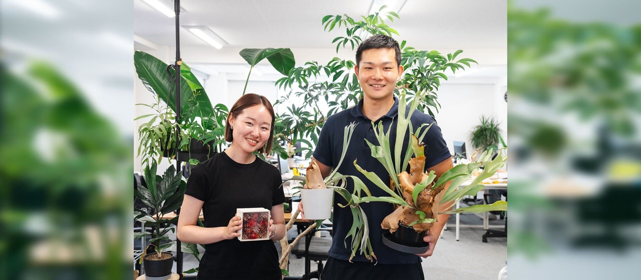 私たちは、WantedlyでDomuzに入社しました！