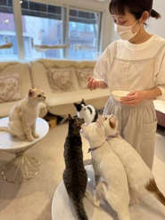 認定看動物護師が在中、安心の健康管理体制。保護数を増やすために、身体中ボロボロでも受け入れられるように、さらなる体制強化を目指す