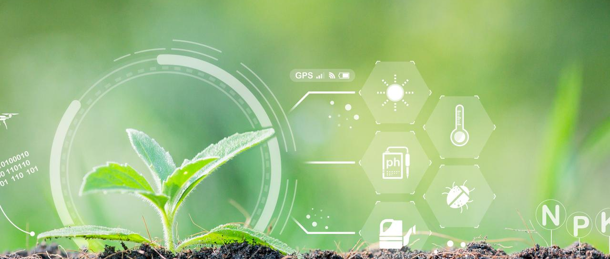 画像解析技術により農業を科学する、サーバーサイドエンジニアを募集！