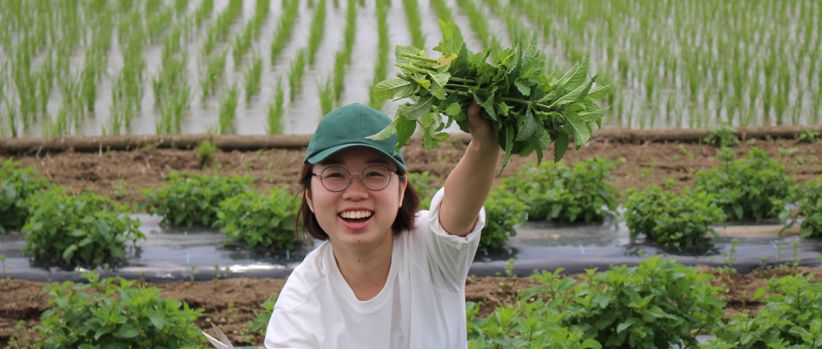 新卒通年採用｜サラダボウル専門店で日本の健康を支えませんか？