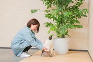 本社にはLOVOTのみーちゃんも☺︎ ぜひいらした際には構ってあげてください♪