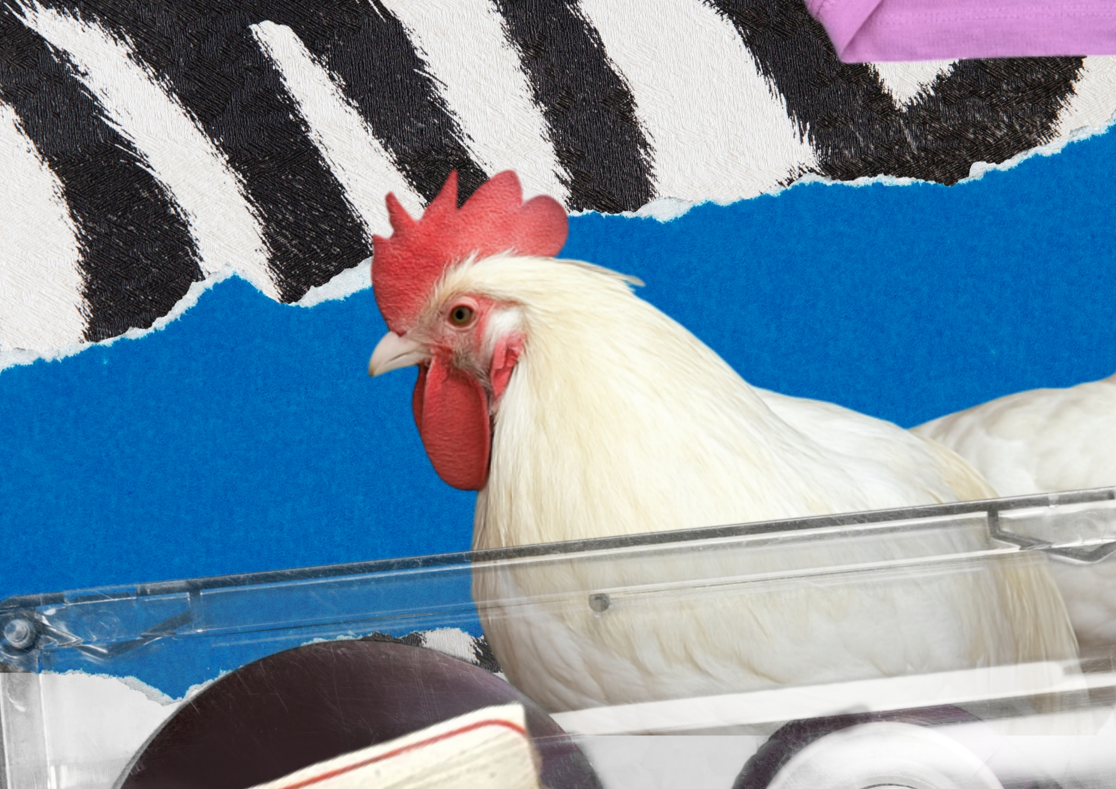 就職中　こちらはポートフォリオ- I