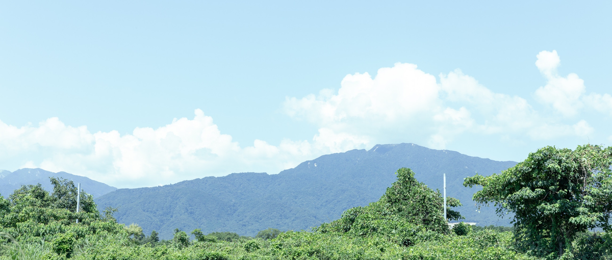 自然と人の営みが交わる場所でWebを通じ魅力を伝えるアートディレクター募集