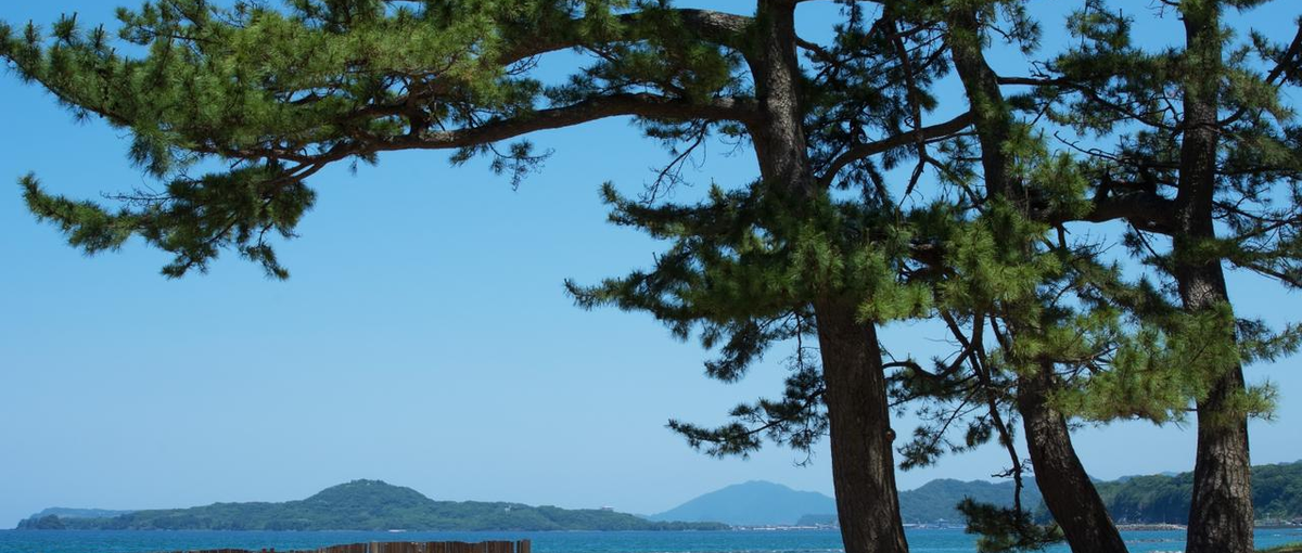 職種も肩書きも関係ない。山口県という土壌で、ゼロから価値を立ち上げる