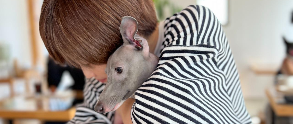 データ分析を楽しめるCS！ユーザーと伴走してくれる仲間を大募集！