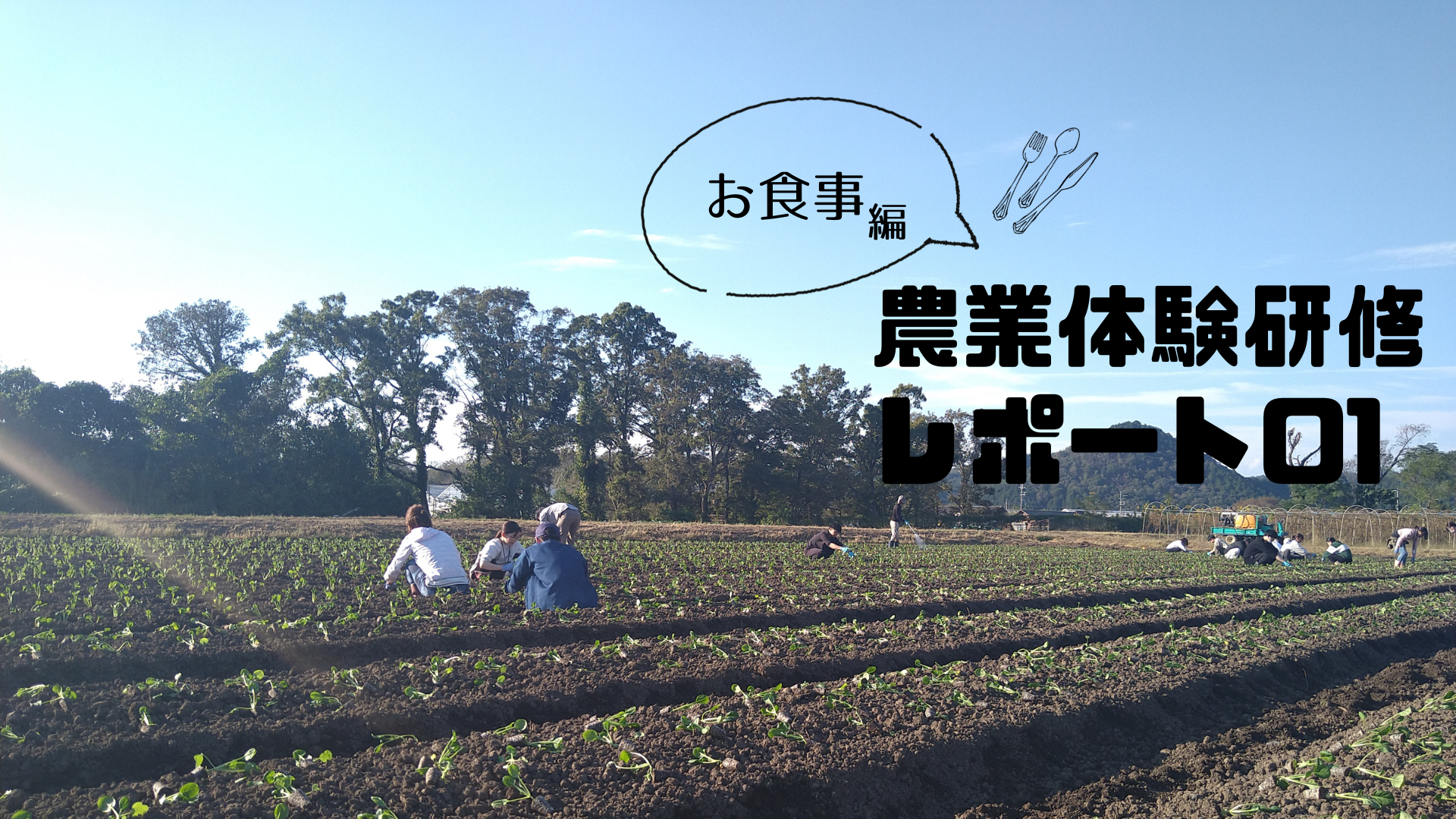 【イベント紹介vol.2】農業体験研修レポート！～お食事編～