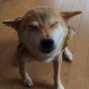 青木 知子