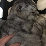千田 裕貴