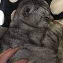 千田 裕貴