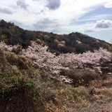 安達 拓馬