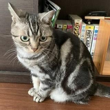 小野 昌