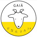 佐々木 香