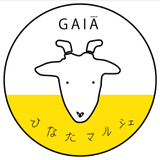 佐々木 香