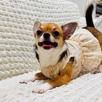 松本 千冬さんのプロフィール