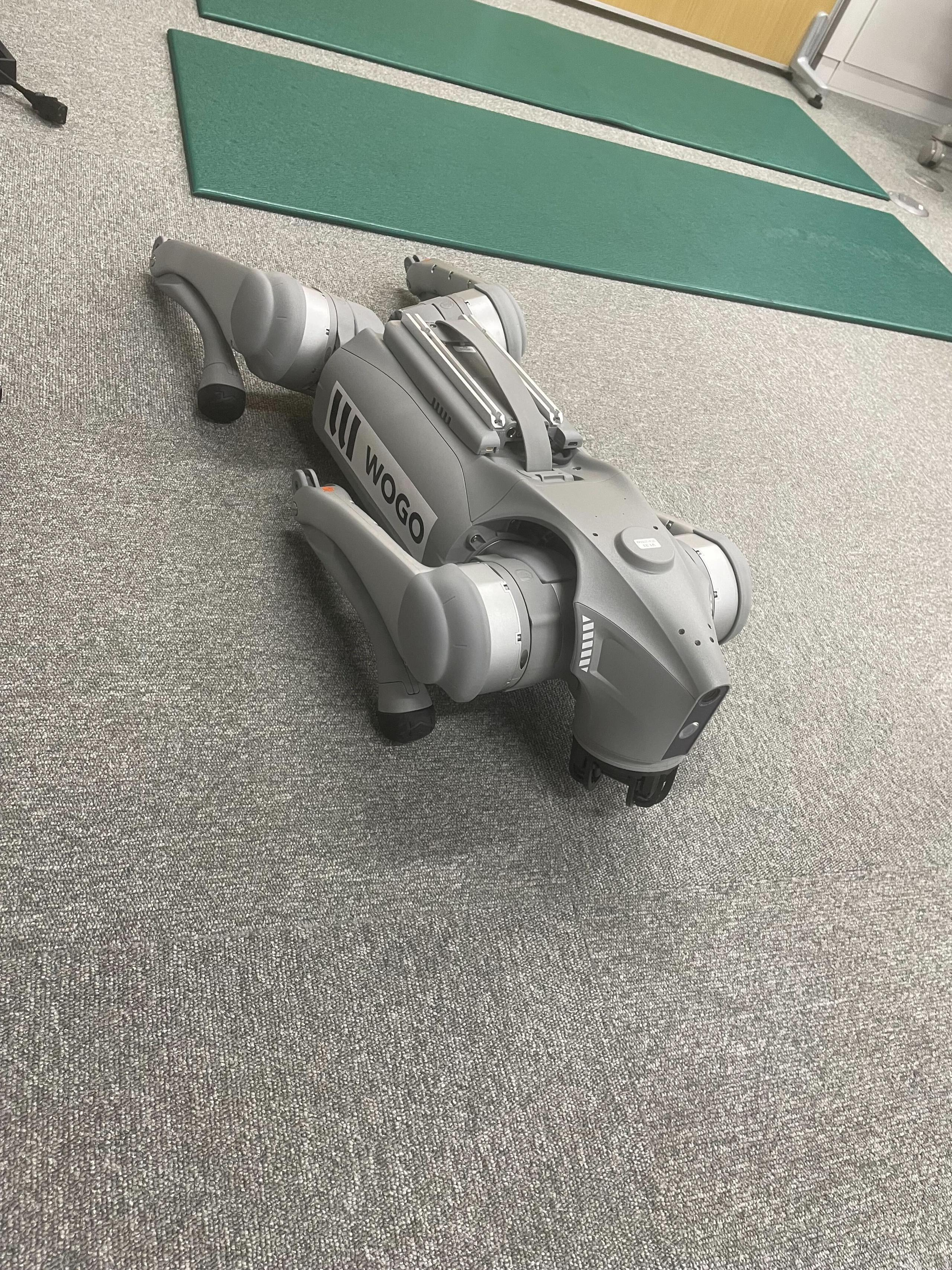 株式会社WOGO様へ遊びへ行きました!!