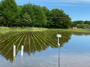 【水田ファーモ】田んぼの水管理の省力化や収穫量UPに貢献。