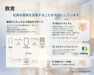 学びも、キャリアも、ひとりにしない。Anselの「共にここから」を支える仕組みです。