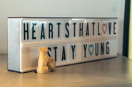 Always be young at heart