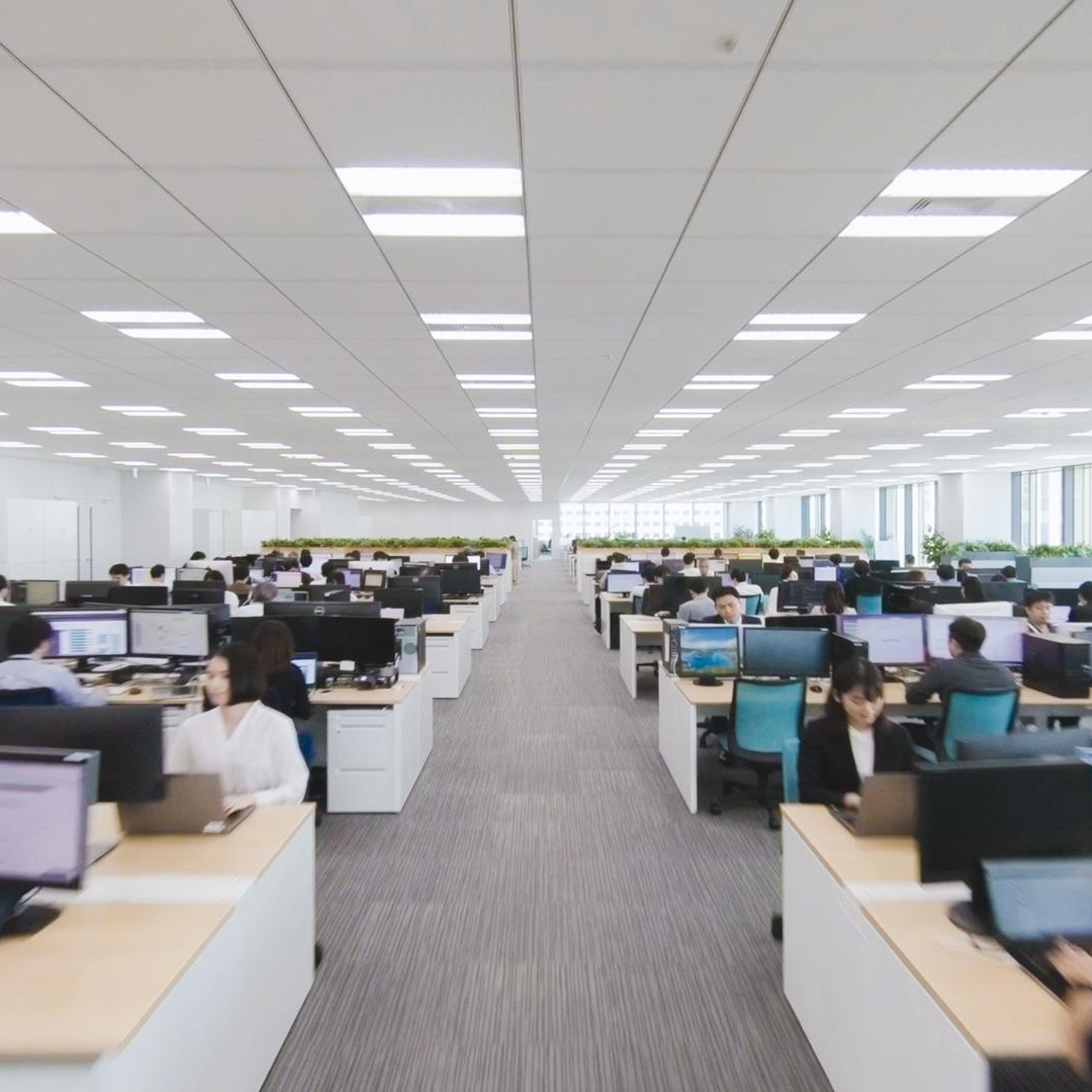 株式 会社 e ストアー