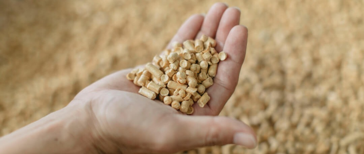 学歴不問、年功序列なし！スキルや経験に不安のある方大歓迎です！