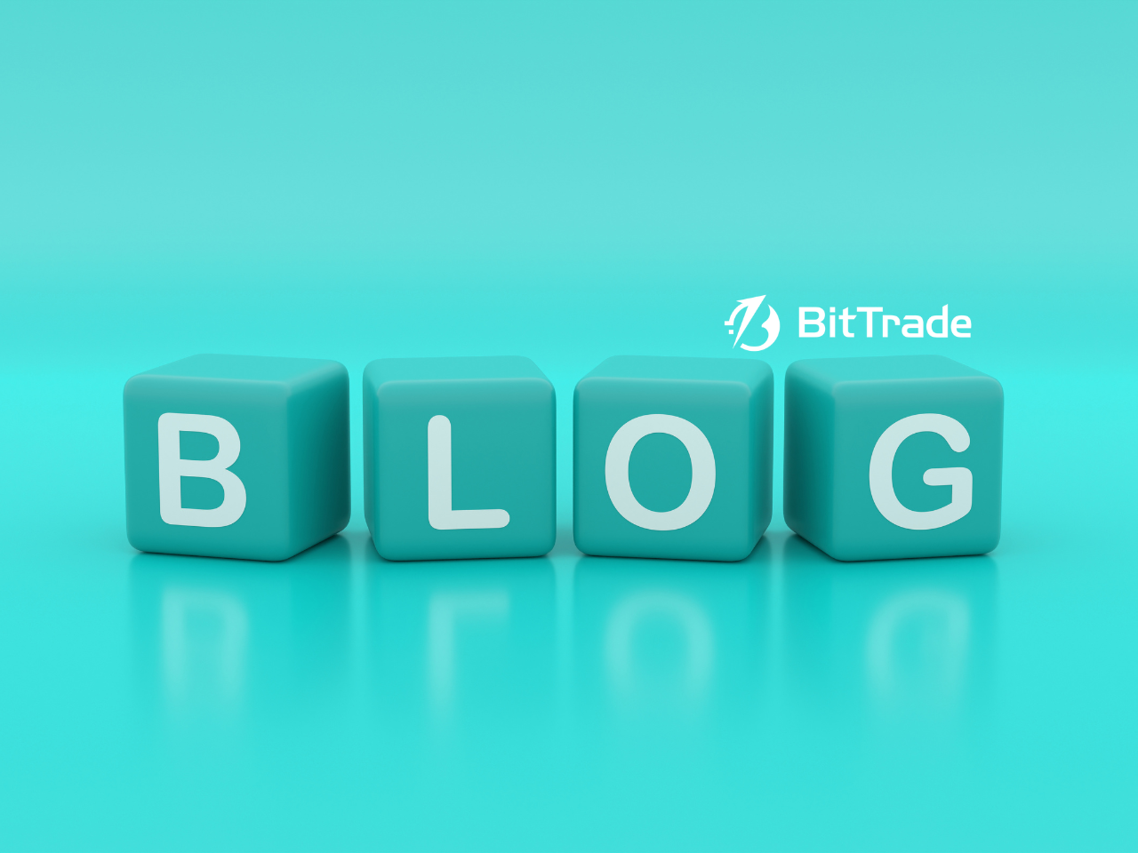 BitTrade Blog - 2025年11月14日 Weekly Report -