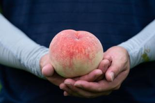 食で地域を元気に！飛騨の特産品を企画開発する、事業企画・開発ポジション
