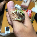 小澤 颯