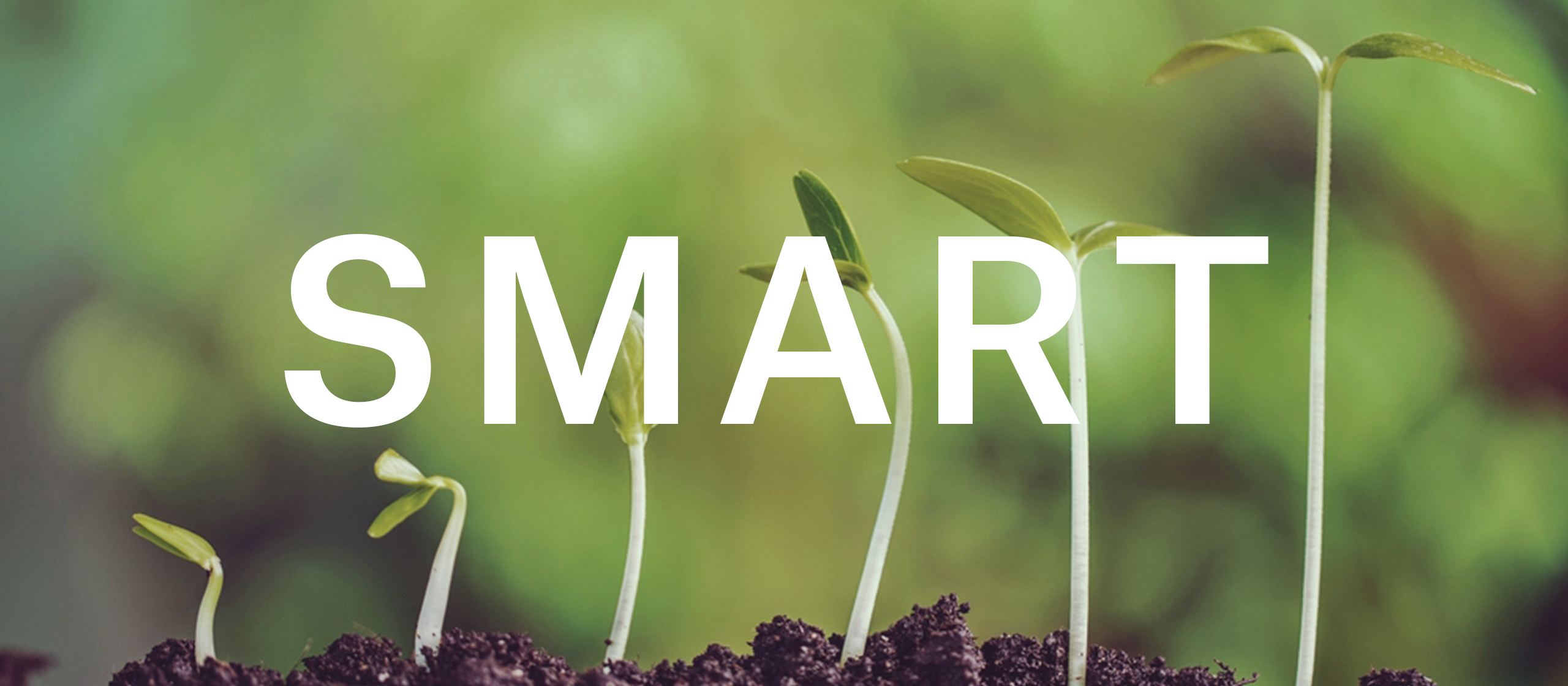 FICCが理想とする “SMART” な成長設計とは？