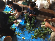 飯能発自社醸造のクラフトビールで町おこしに貢献！国内外の大会で30個のメダルを受賞。