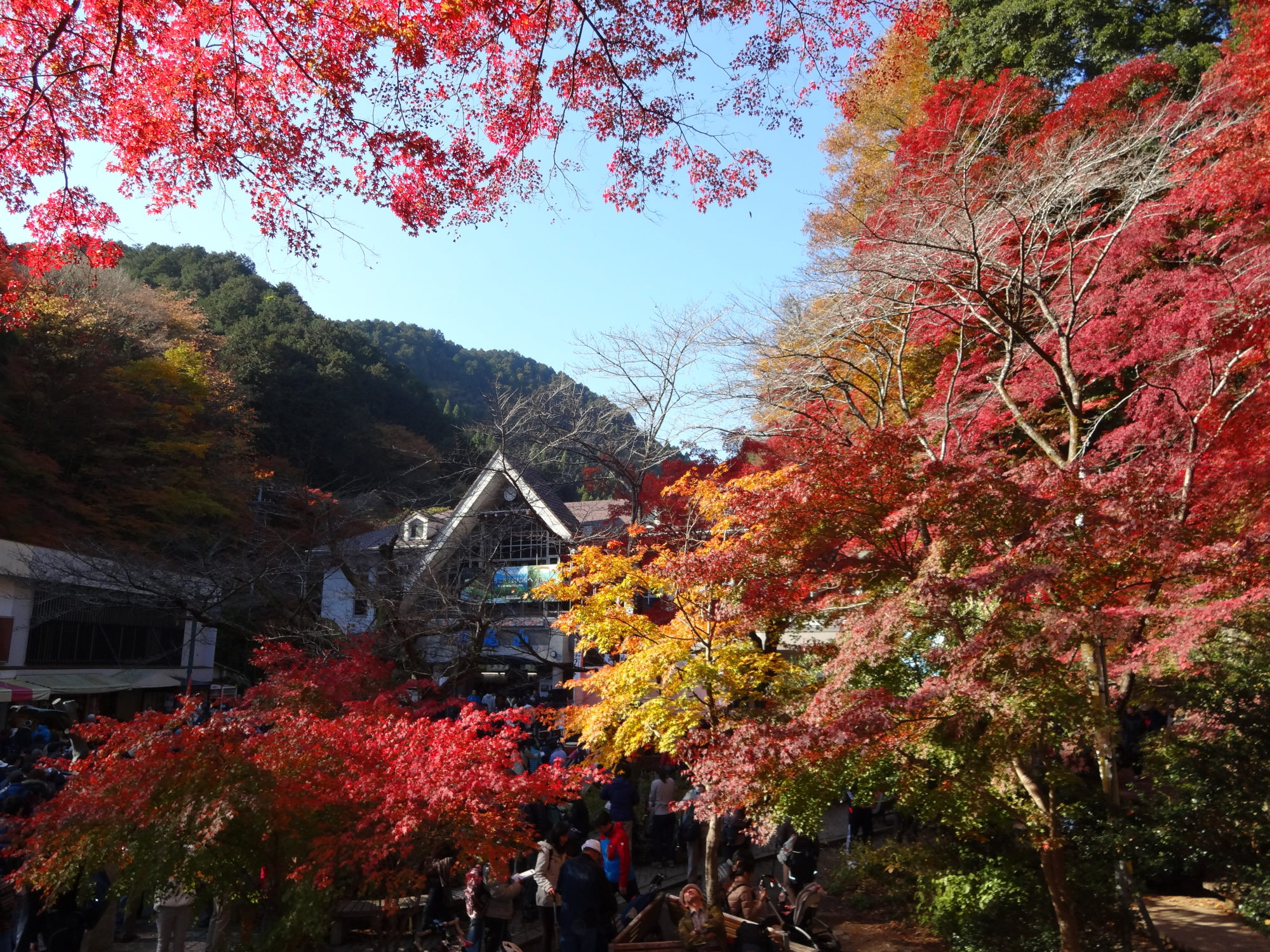 イオンネクスト入社から１年経過して