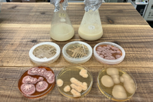 バイオ素材の分析研究：分析・評価・品質保証業務の立ち上げをリード！
