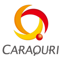 からくり株式会社の会社情報