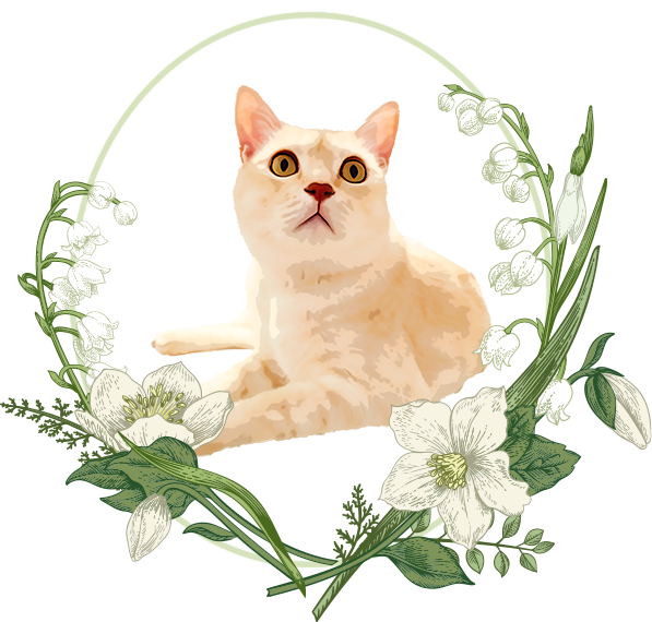 株式会社CATLIVING