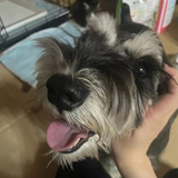 竹之内 ①