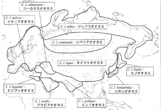 フェンリル大人の課外学習 日本でのオオカミ研究の第一人者、角田裕志