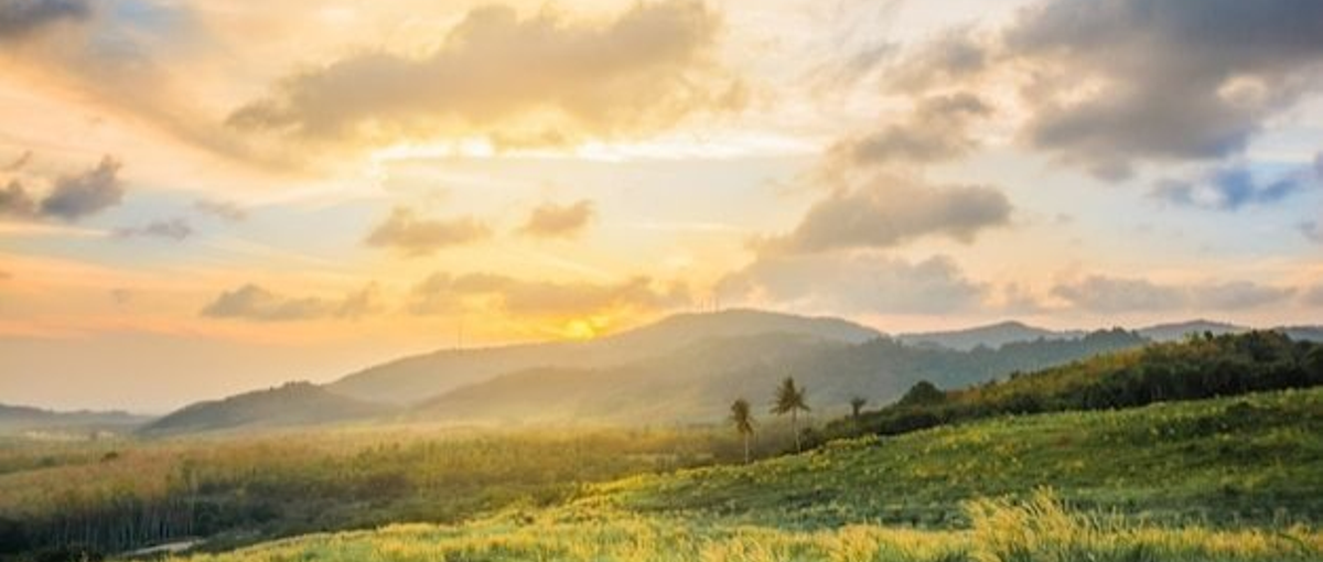 流氷の絶景やヒグマが目の前に。働かないと見れない景色がここにはある。