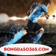 bongda so365