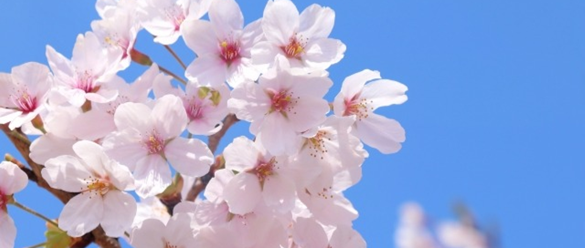 これまでの経験は決して無駄じゃない。新しい可能性を掴もう。