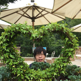 莿木清太