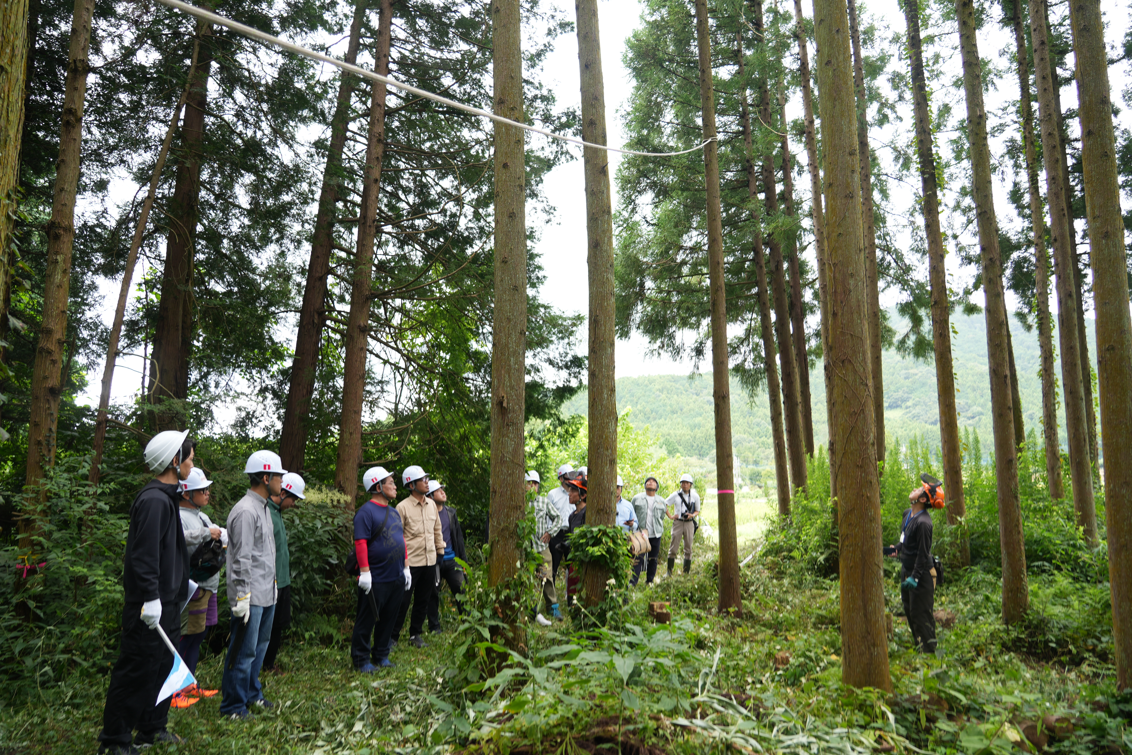 森林と都会をつなぎ、木材の価値を作りたいという話