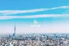 ポテンシャル採用｜ITベンチャーでマーケのプロを目指す！東京勤務
