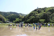 美波町での田植えの様子　