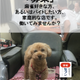 村上