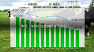 日本の畜産は1.3兆円の産業規模。ところが、飼料コストの増大や高齢化が進み、どんどん離農が進んだ結果、生産供給が不安定になっているのが現状です。