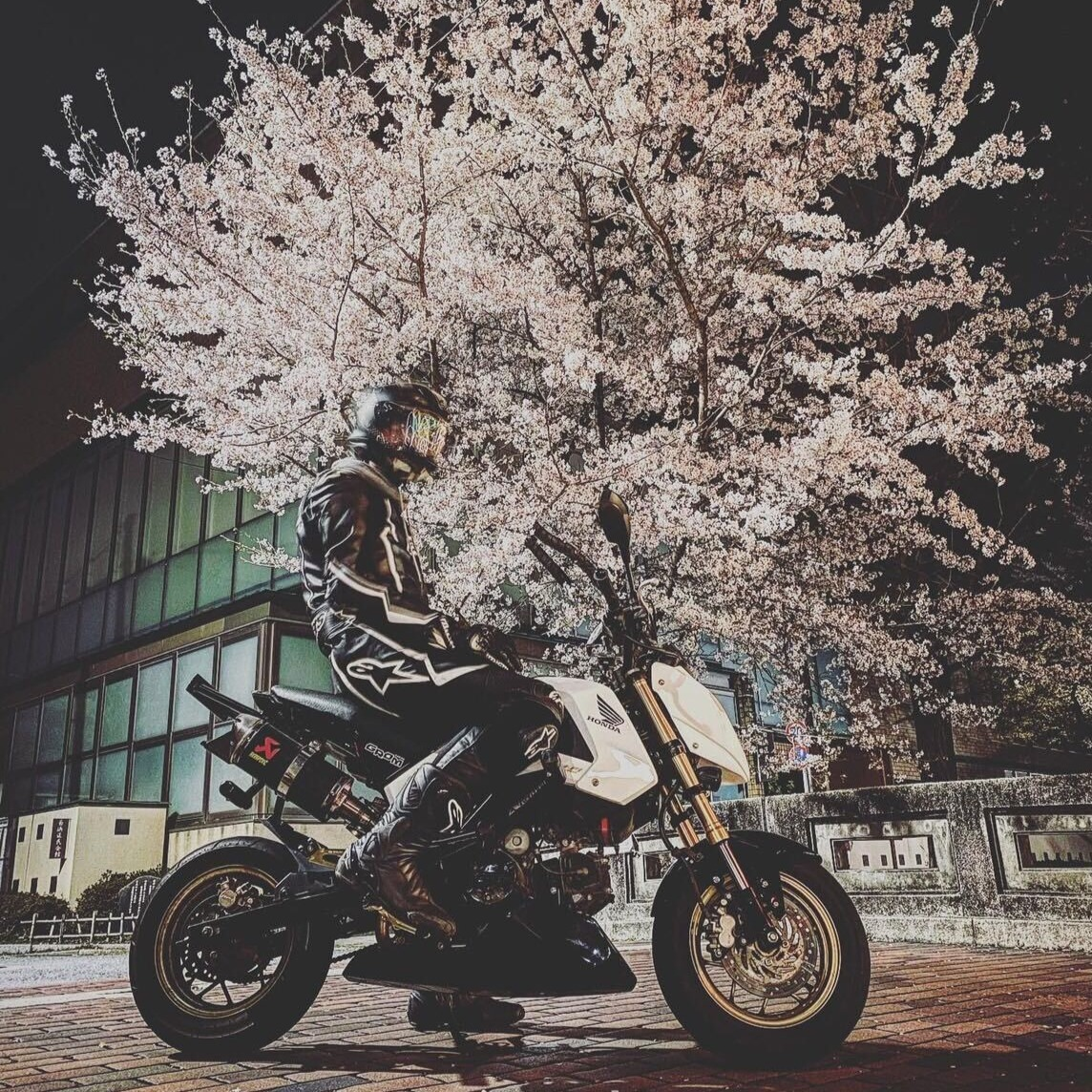 菱田 樹