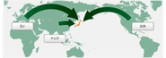 世界20カ国・800社におよぶ調達ネットワーク