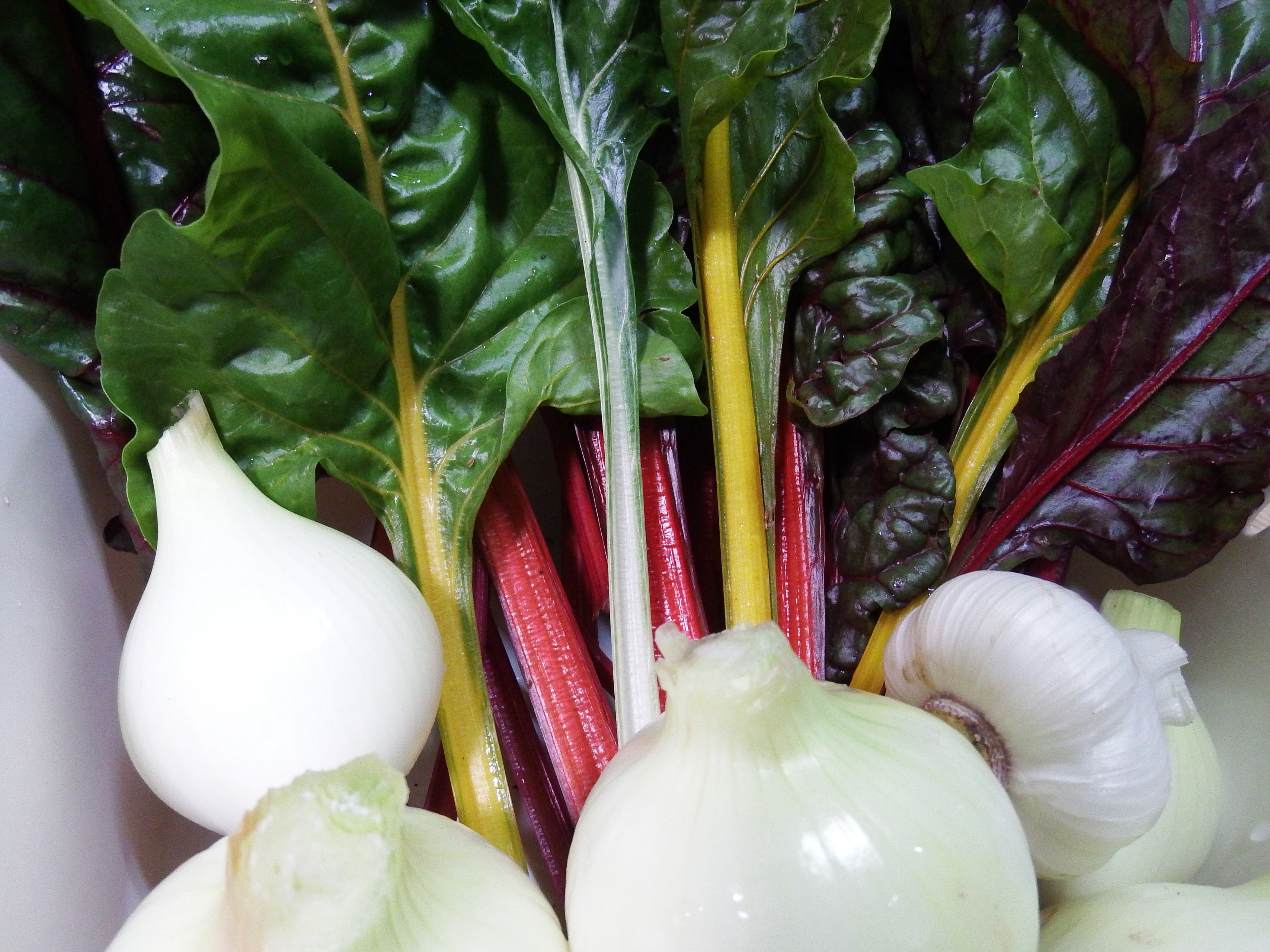 次世界を創造する新規事業案‐農業改革、但しほぼすべての分野に適応可能な。