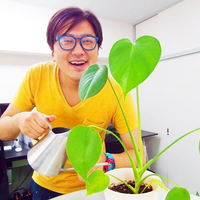 服部 健一郎さんのプロフィール