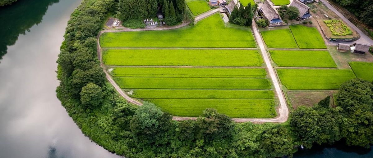 任されるから、伸びる。富山で地域と共に価値を形にするグラフィックデザイナー
